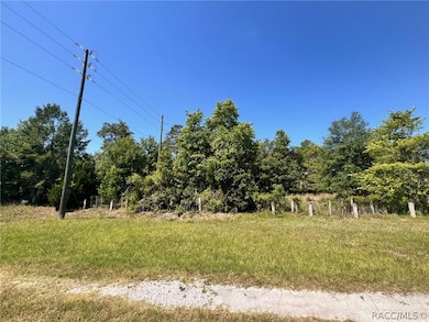 4956 E Posselt Dr, Hernando, FL 34442 - photo 6