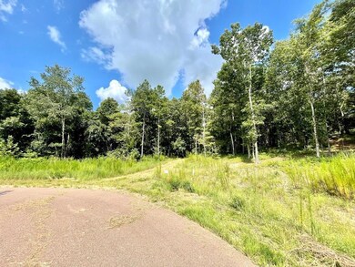 206 Philippians Rd, Oxford, MS 38655 - photo 2