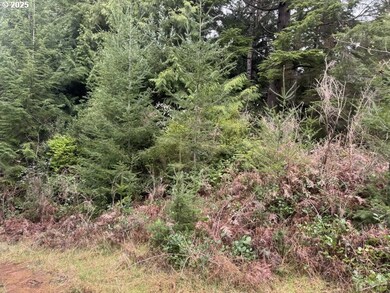 0 Wildberry Rd, Coosbay, OR 97420 - photo 4
