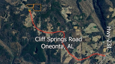 0 Cliff Springs Rd unit 24577101, Oneonta, AL 35121 - photo 5