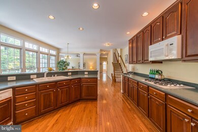 5170 Britten Ln, Ellicott City, MD 21043 - photo 7