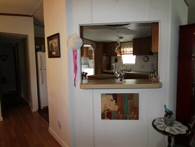 2720 Shadeville Rd, Crawfordville, FL 32327 - photo 3