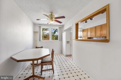 3547 Rhawn St, Philadelphia, PA 19136 - photo 7