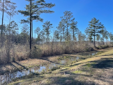 Lot 1 Ms-44, Columbia, MS 39429 - photo 3