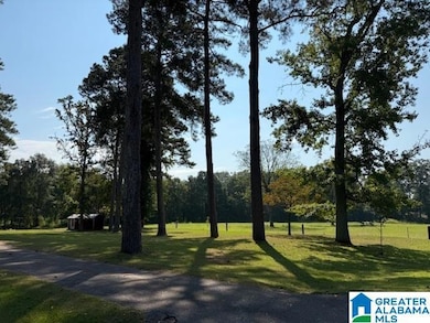 1616 Alexandria Rd, Weaver, AL 36277 - photo 4