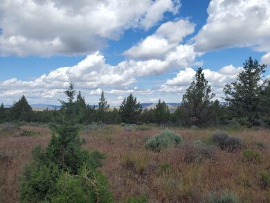 0 SE Dead End Street Tl5674 St unit 220149584, Prineville, OR 97754 - photo 4