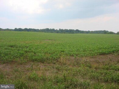 0 Telegraph Springs Rd unit 1000630249, Purcellville, VA 20132 - photo 6