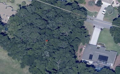 0 SW 190th Terrace, Dunnellon, FL 34432 - photo 2