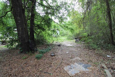 189 Forest Ln, Crawfordville, FL 32327 - photo 3