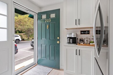 278 Manning St unit 203, Hudson, MA 01749 - photo 3