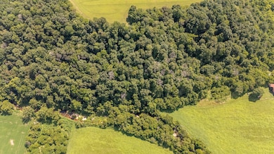 4000 Weakley Creek Rd, Lawrenceburg, TN 38464 - photo 6