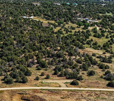Lot 148 Navajo Ranch Resort, Walsenburg, CO 81089 - photo 4