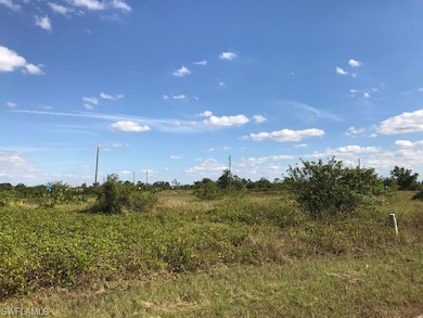 1702 Euclid Ave, Lehigh Acres, FL 33972 - photo 2