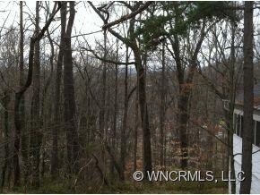 partial winter views