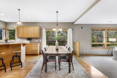 11-web-or-mls-20375 Islandview Circle Lakeville-4.jpg