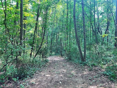 14252 State Route 83, Coshocton, OH 43812 - photo 6