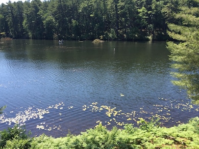 51 Hale Rd, Stow, MA 01775 - photo 6