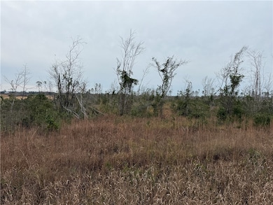 9.22 Rhine Rd, Alma, GA 31510 - photo 3