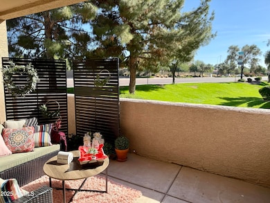 3330 S Gilbert Rd unit 1003, Chandler, AZ 85286 - photo 7