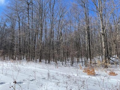 0 N Sunshine Trail unit 201817387, Wolverine, MI 49799 - photo 4