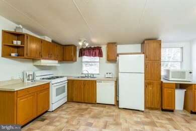 2131 Broad Run Rd, Brandywine, WV 26802 - photo 2