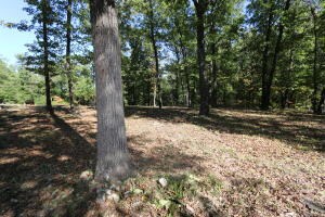 1494 Wolf Springs Rd, Harrison, AR 72601 - photo 6