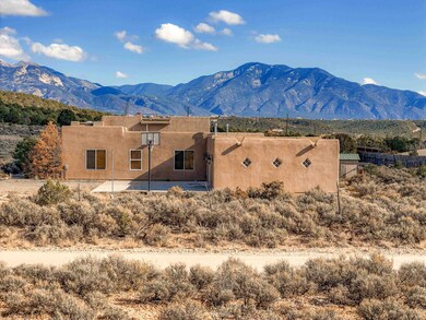 133 Old State Hwy 3, Arroyo Hondo, NM 87513 - photo 4