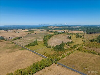 0 3 Maw Rd, Toledo, WA 98591 - photo 2