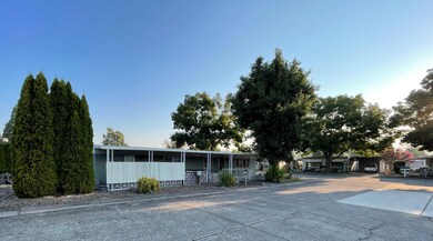 IMG_9975