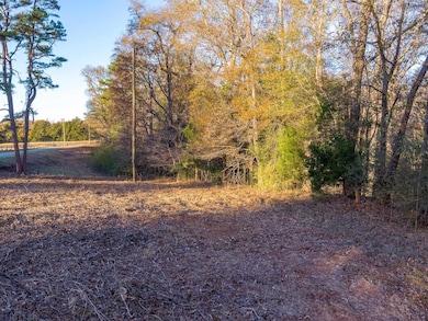 0 Marshall Tucker Rd, Pauline, SC 29374 - photo 4