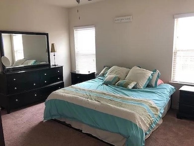 Carpeted bedroom featuring multiple windows