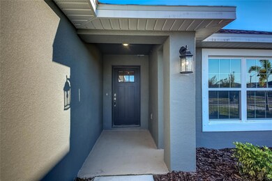 16311 66th Ln E, Parrish, FL 34219 - photo 3