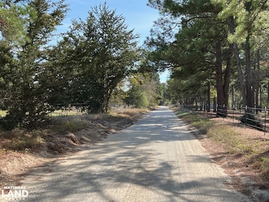 0 Cr 446 unit 22215070, Navasota, TX 77868 - photo 2