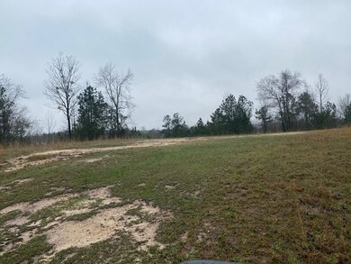 6 Crest Line Dr, Upatoi, GA 31829 - photo 4