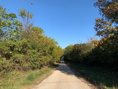 0 Martin St, Jerico Springs, MO 64756 - photo 3