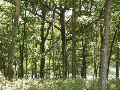 Lot 118 Eagle Path, Lehman Township, PA 18324 - photo 3