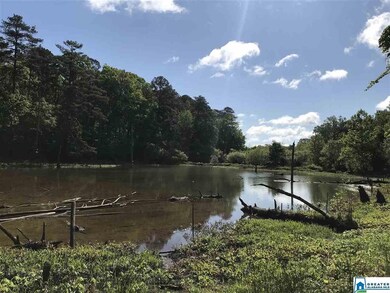 This is the pond at the back of the property and t