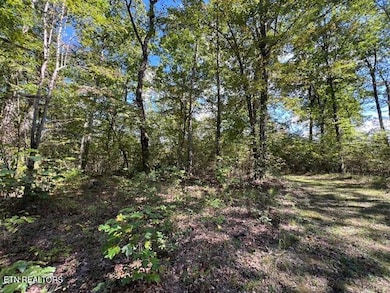 0 Hwy 70 N unit 1317516, Monterey, TN 38574 - photo 6