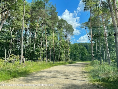 Lot 1a Rachael Fairfax Dr, Lansing, MI 48906 - photo 6