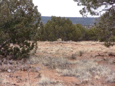 Apache Road 004