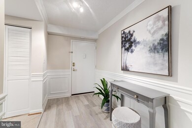 Lakeside Plaza Condominium unit 302, Baileys Crossroads, VA 22041 - photo 3