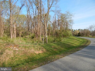 141 Shveda Way, Shepherdstown, WV 25443 - photo 7