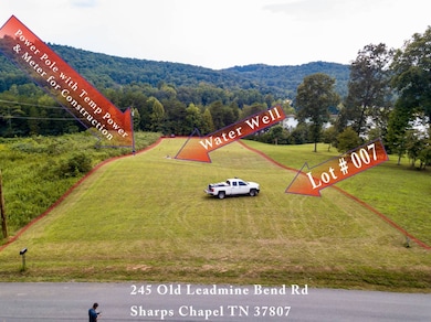 245 Old Leadmine Bend Rd, Sharps Chapel, TN 37866 - photo 3