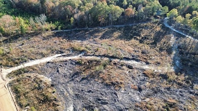 5 Gatewood Rd, Pittsview, AL 36871 - photo 6