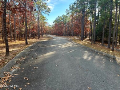 2905 N Magellan Blvd SE, Bolivia, NC 28422 - photo 5