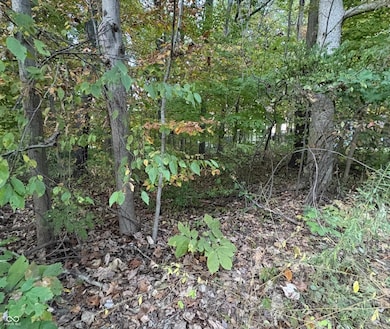 205 Stardust Way, Cloverdale, IN 46120 - photo 3