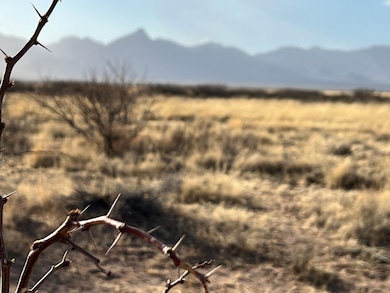 Leon Rd SE, Deming, NM 88030 - photo 5