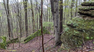 995 McGrery Rd SE, Lancaster, OH 43130 - photo 5