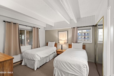 508 E Lionshead Cir unit 604/Week 9, Vail, CO 81657 - photo 4