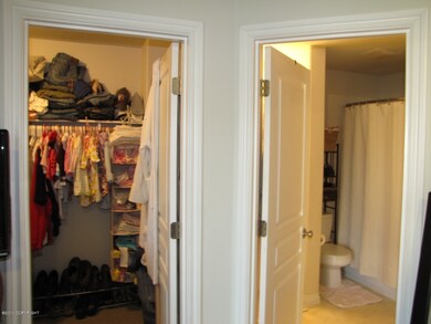 Closet and Bathroom